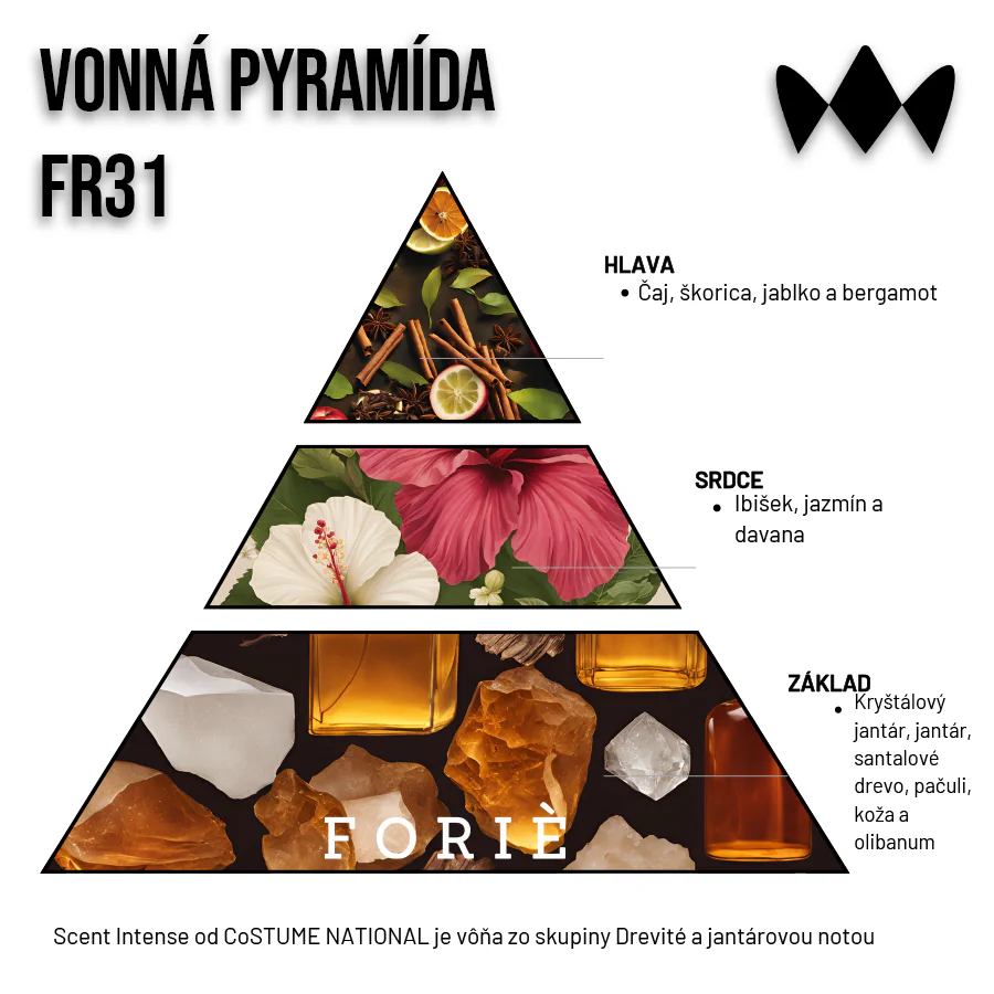 The Scent Intense – FR31 | Inšpirovaný Costume National | Pánsky parfum